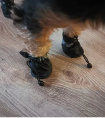 Waterproof Pet Rain Boots Set