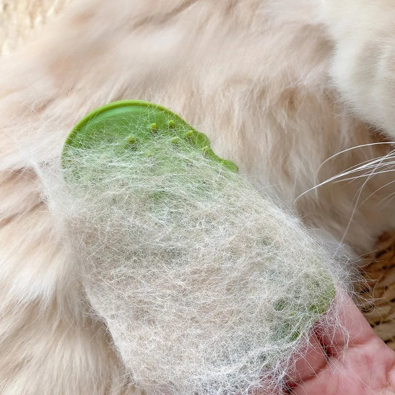 Cat Hair Removal Massage Comb