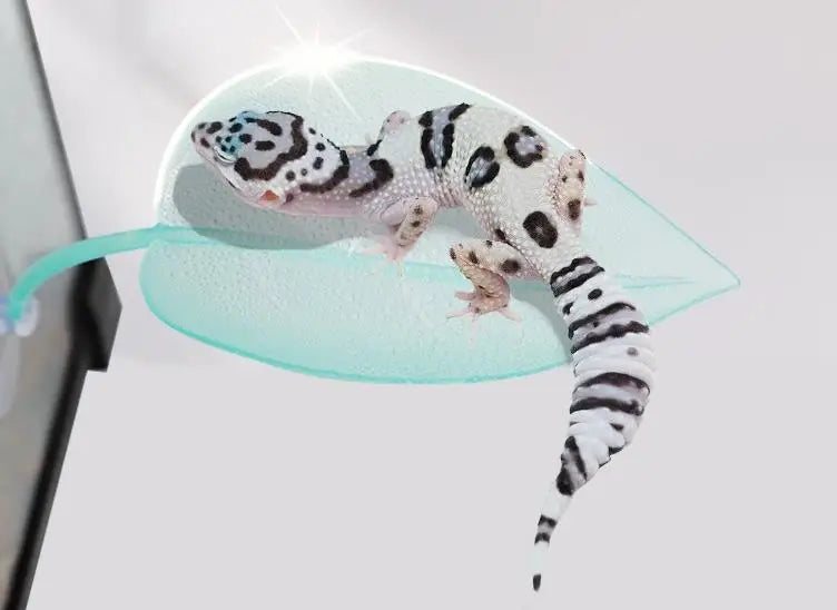 Reptile Leaf Hammock with Suction Cups