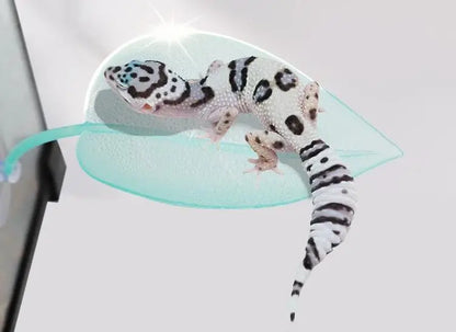 Reptile Leaf Hammock with Suction Cups