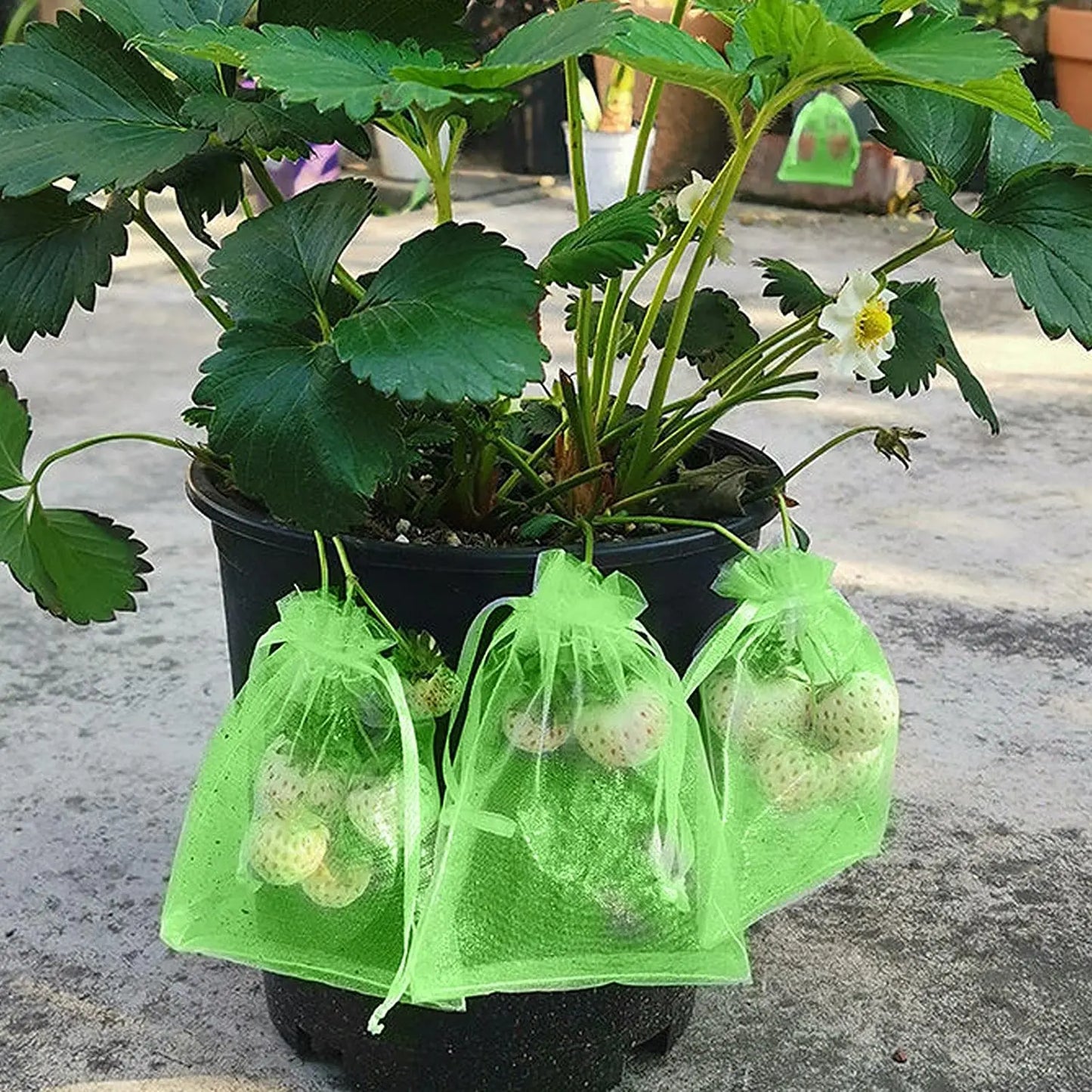 Fruit Protection Mesh Bags with Drawstring