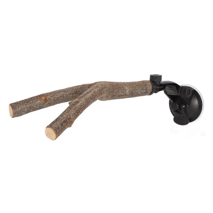 Wooden Bird Branch Perch with Suction Cup