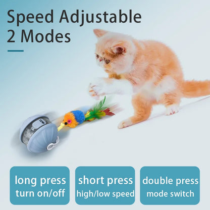 Interactive Rechargeable Rolling Pet Ball Toy