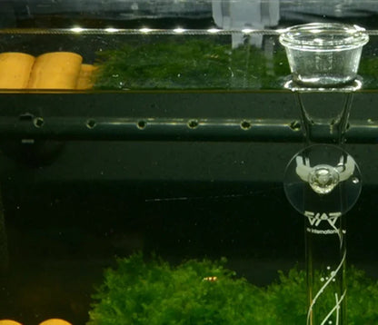 Glass Aquarium Shrimp Feeding Dish & Feeding Tube Set