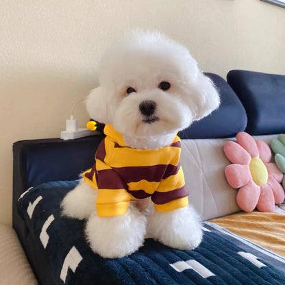 Cute Bee Costume Dog Clothes for Small Dogs