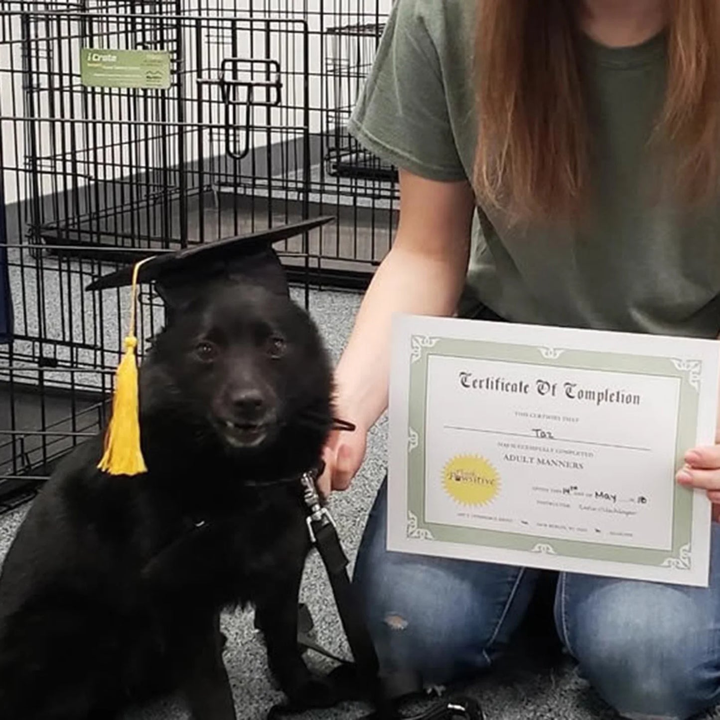 Pet Graduation Cap with Tassel