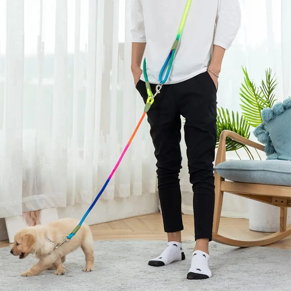 Reflective Hands-Free Dog Leash
