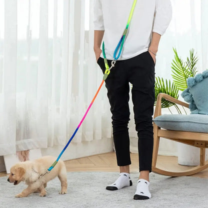 Reflective Hands-Free Dog Leash