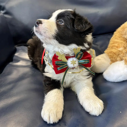 Christmas Adjustable Pet Lace Bandana Collar