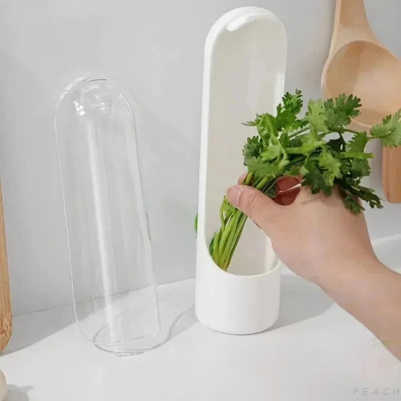 Food Fresh-Keeping Storage Box for Vegetables & Herbs
