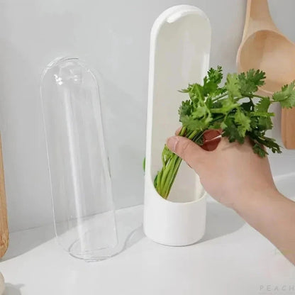 Food Fresh-Keeping Storage Box for Vegetables & Herbs