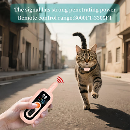 Rechargeable Cat Behavior Training Collar with Remote Control