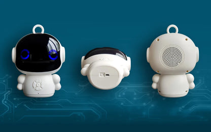 AI Educational Companion Robot