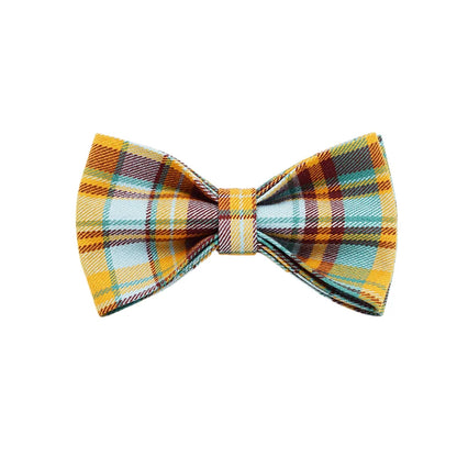 Personalized Plaid Dog Collar, Harness & Leash Set