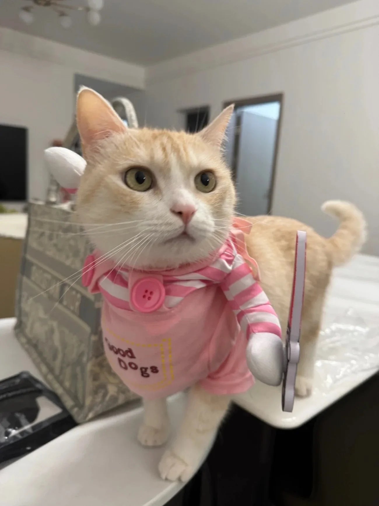 Funny Cosplay Pet Costume with Plush Knife