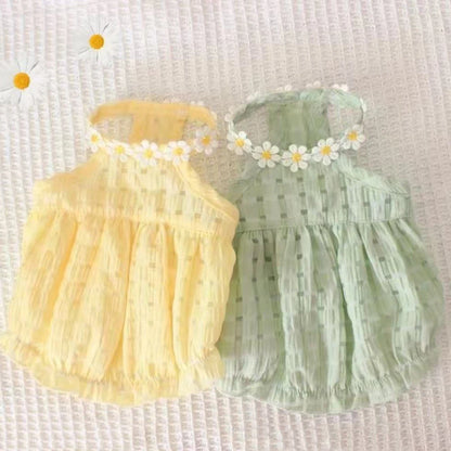 Floral Cat Skirt & Collar