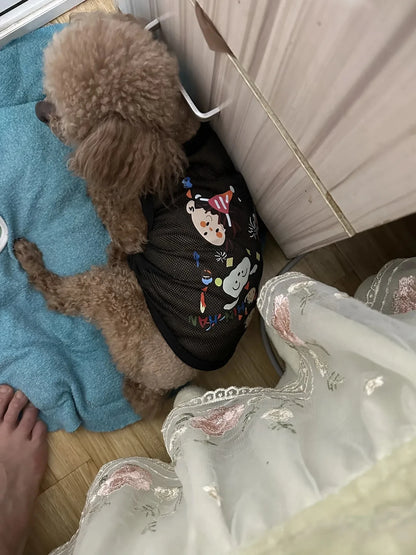 Breathable Mesh Summer Dog Vest