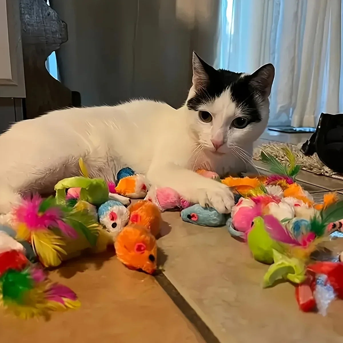Mixed Cat Toy Set
