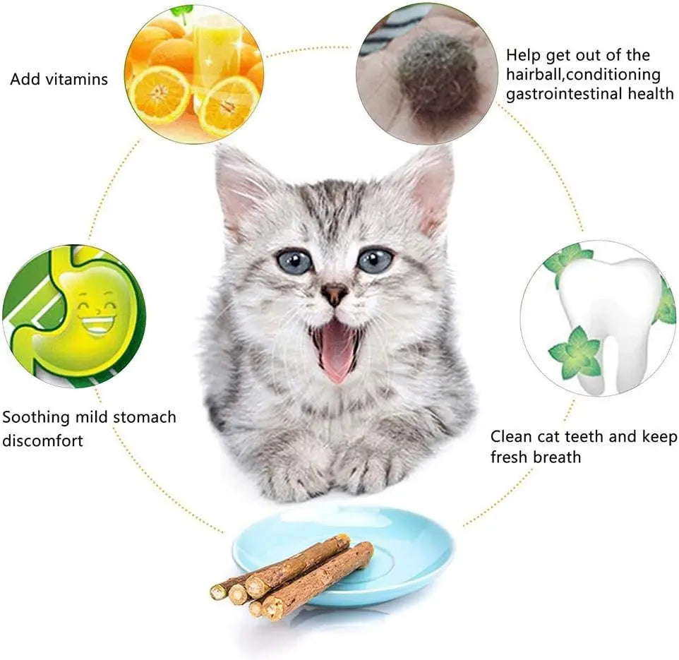 Natural Catnip Silvervine Chew Sticks for Cats