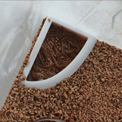 Anti-Escape Reptile Feeding Bowl