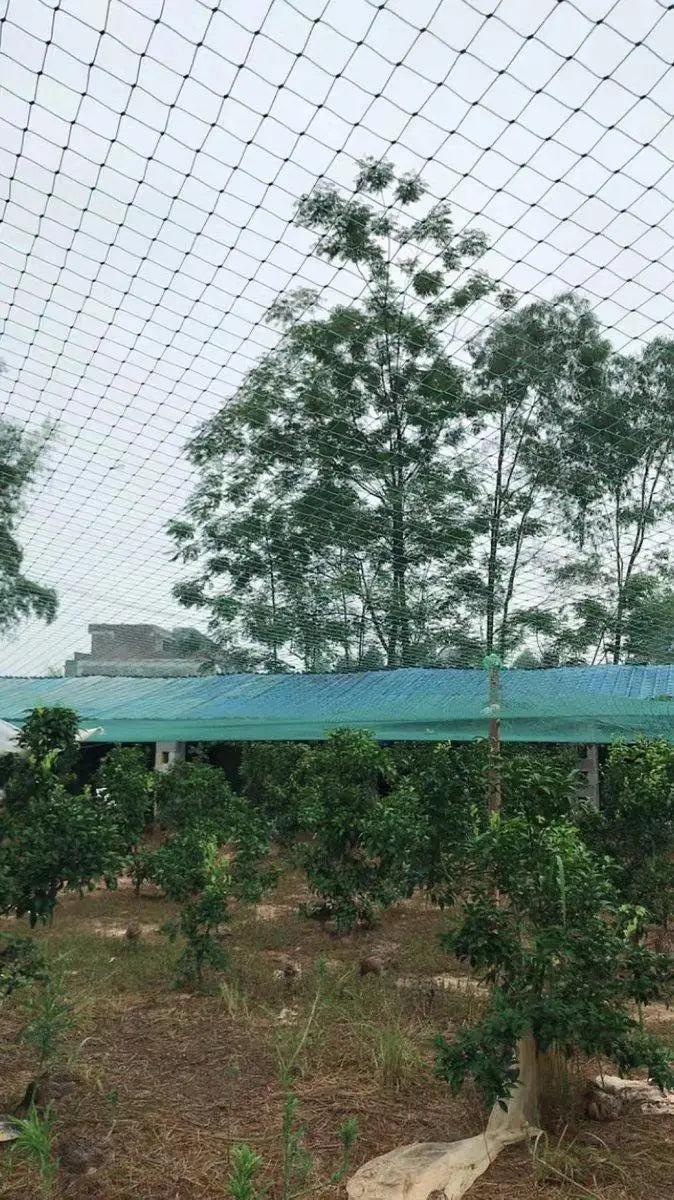 Heavy Duty Garden Protection Netting