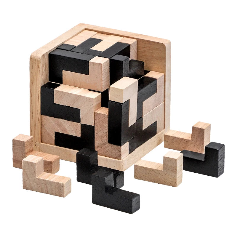 Impossible Wooden IQ Puzzle Game
