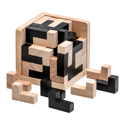 Impossible Wooden IQ Puzzle Game
