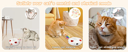 Interactive Whack-A-Mole Cat Toy