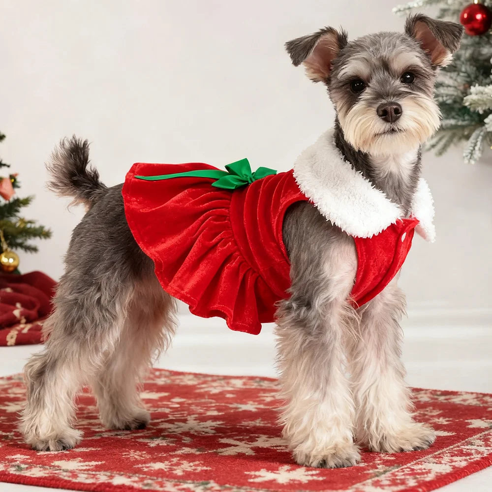 Christmas Dog Dress for Small Dogs & Cats