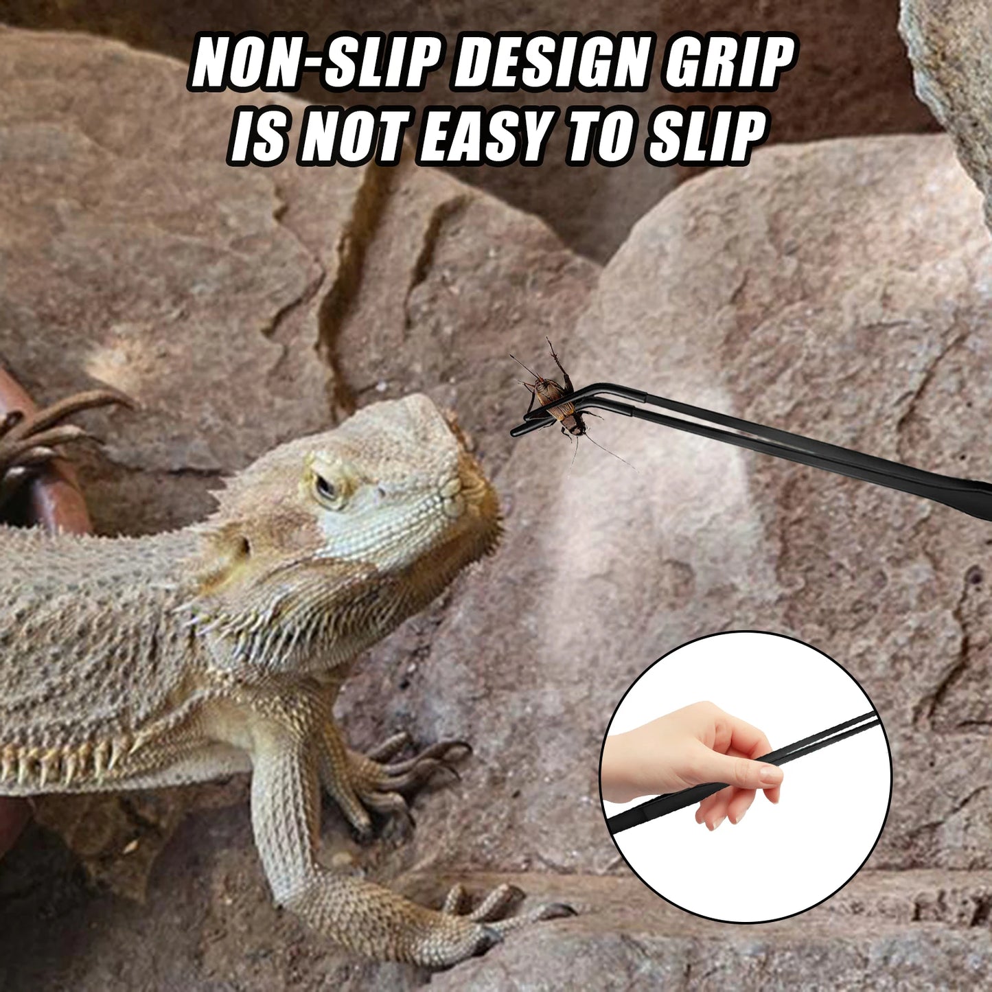 Stainless Steel Reptile Feeding Tweezers Set