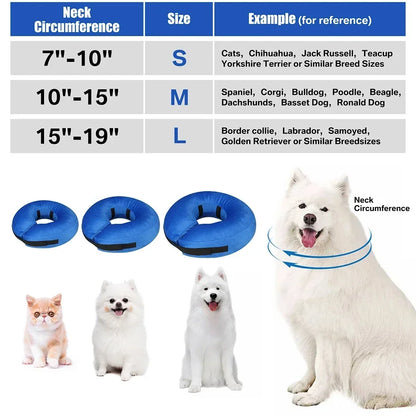 Inflatable Dog Recovery Collar After Surgery