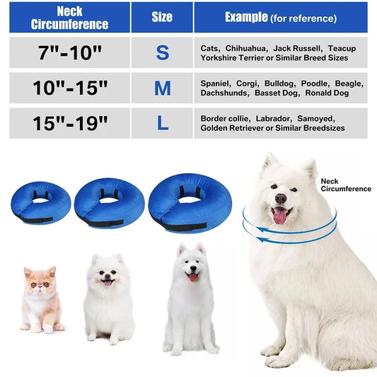 Inflatable Dog Recovery Collar After Surgery