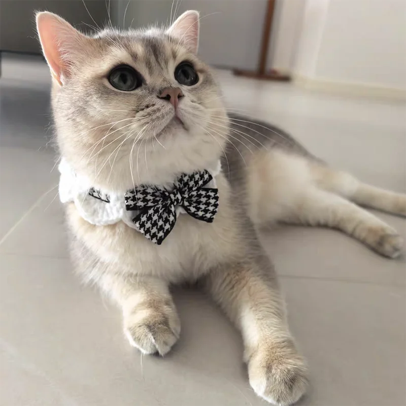 Cute Crocheted Cat Bow Tie Collar