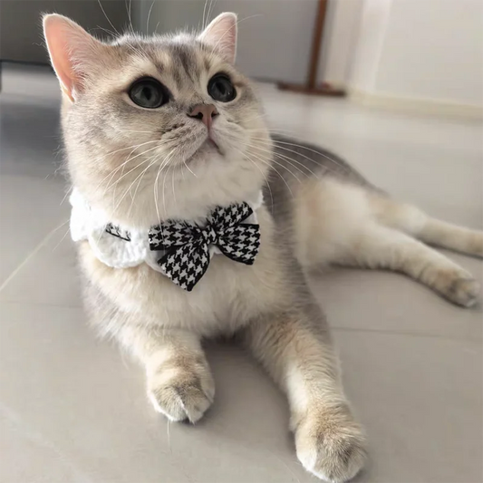 Cute Crocheted Cat Bow Tie Collar
