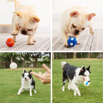Soft Latex Sports Ball Dog Toy