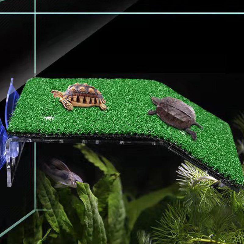 S/M/L Size Turtle Platform