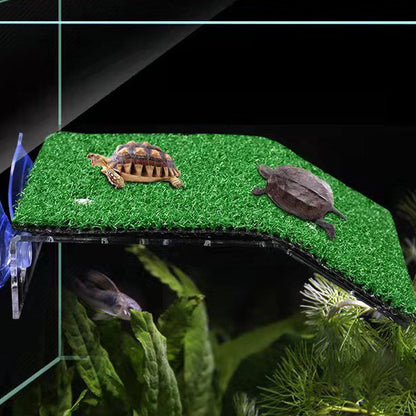 S/M/L Size Turtle Platform