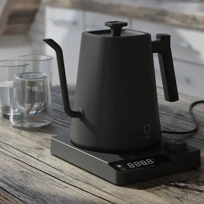 Stainless Steel Variable Temperature Gooseneck Coffee & Tea Kettle