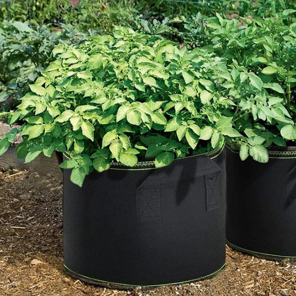 Reusable Fabric Grow Bag for Vegetables & Plants