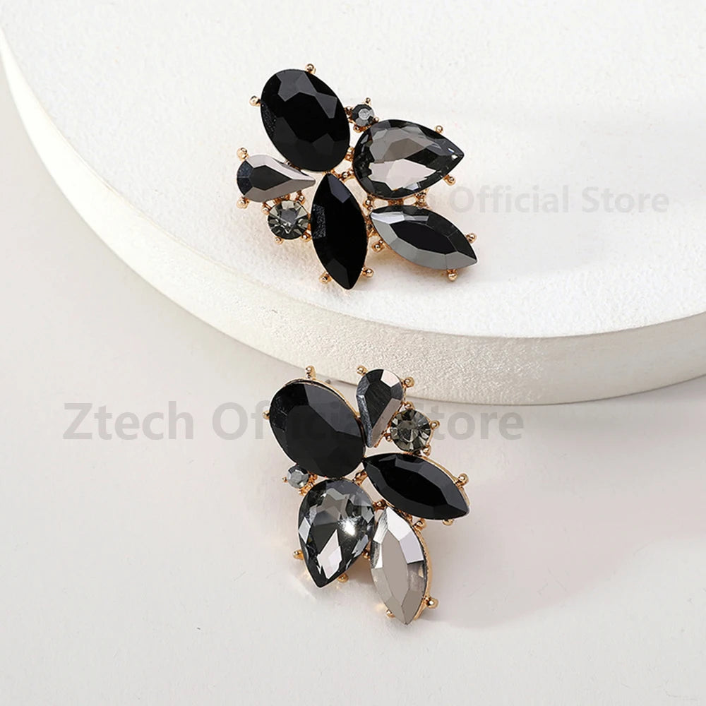 Colorful Crystal Charm Earrings