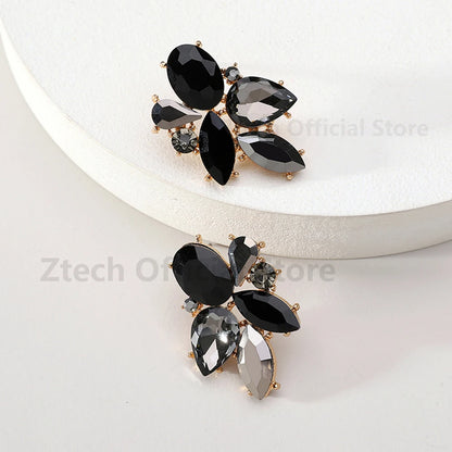 Colorful Crystal Charm Earrings