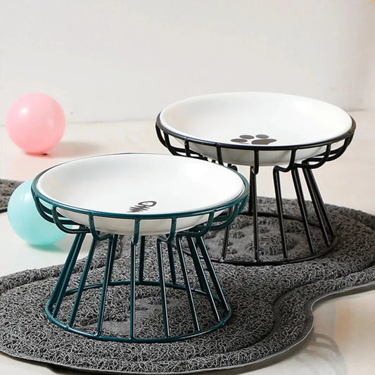 Elevated Ceramic Cat Food Bowl with Metal Stand