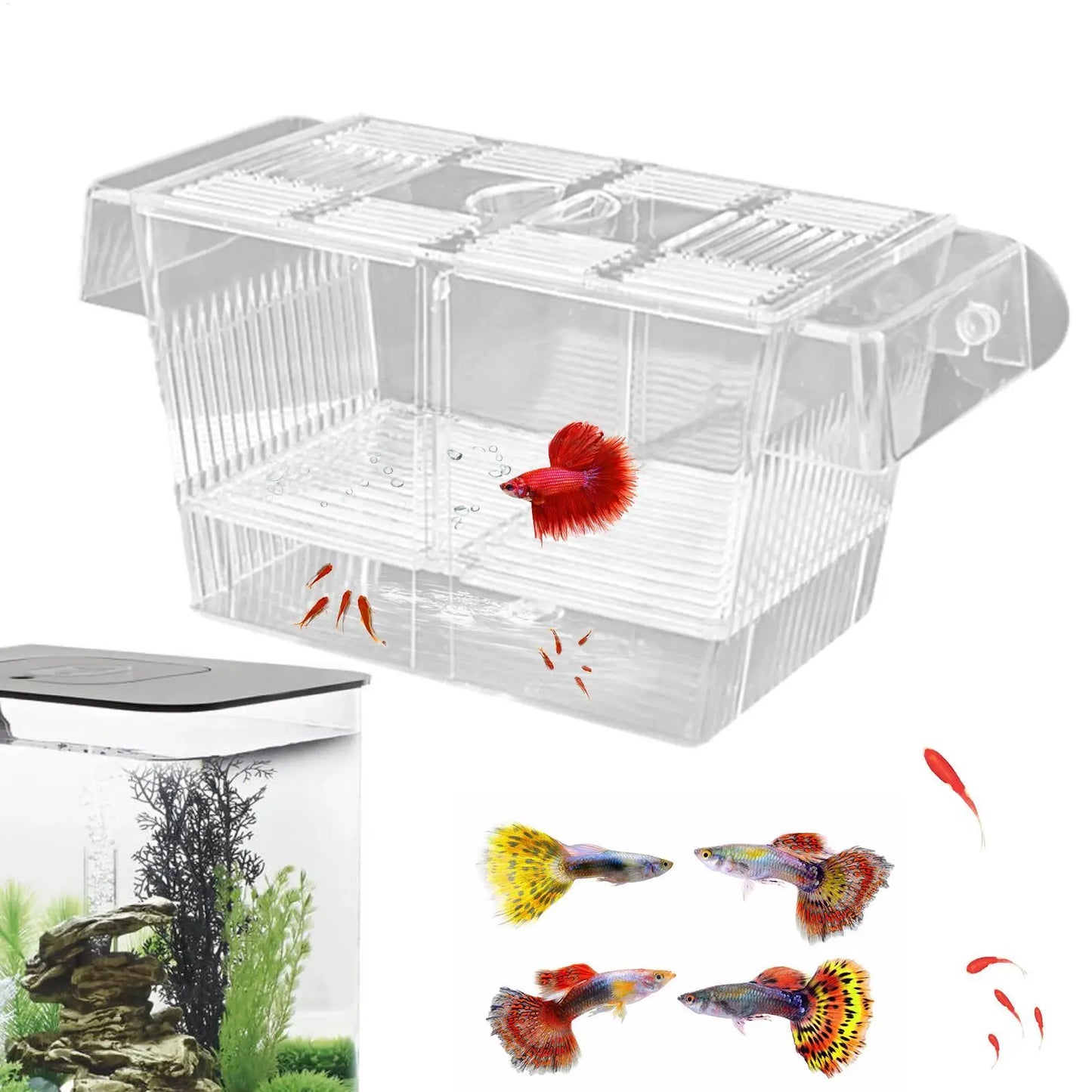 Acrylic Fish Breeding & Isolation Box for Aquariums
