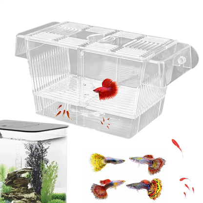 Acrylic Fish Breeding & Isolation Box for Aquariums