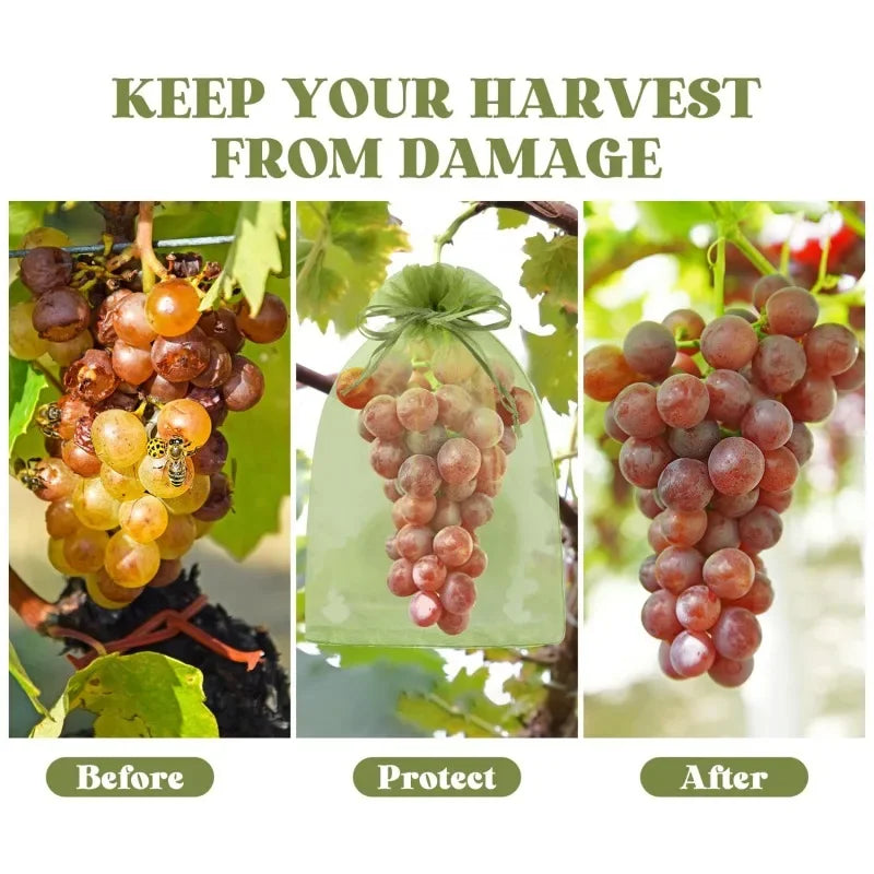 Fruit Protection Grow Bags