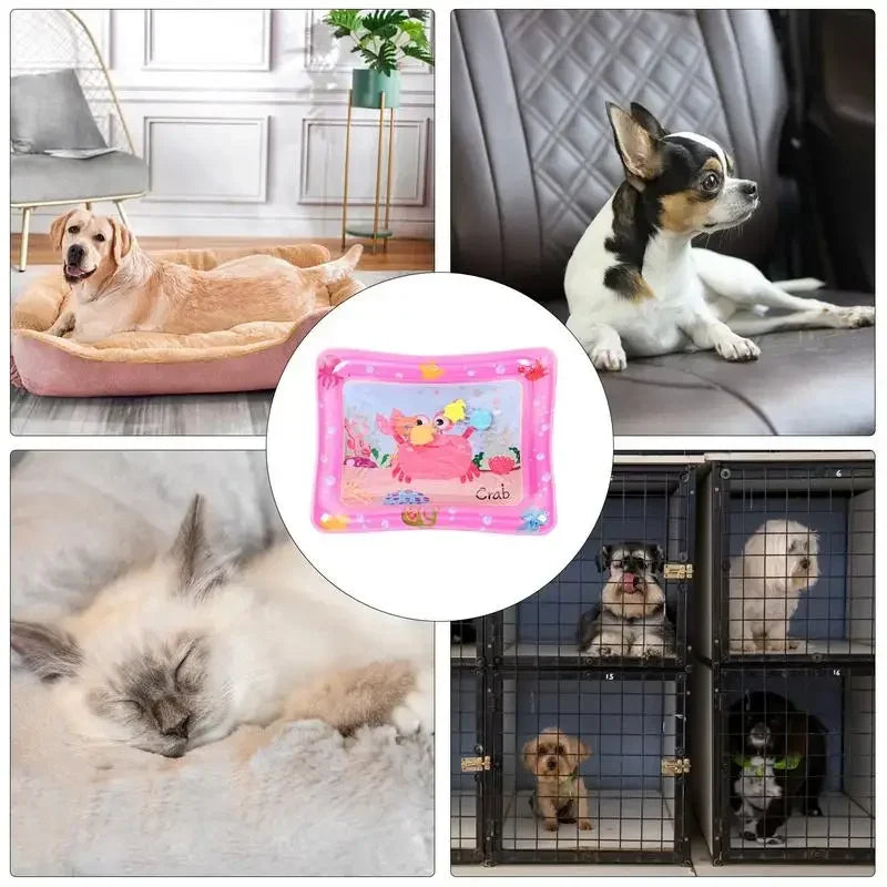 Pet Water Sensory Play Mat