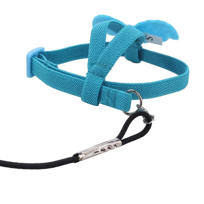 Parrot Training Harness & Anti-Bite Leash Set