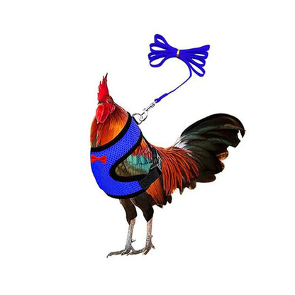Adjustable Poultry Harness & Leash Set