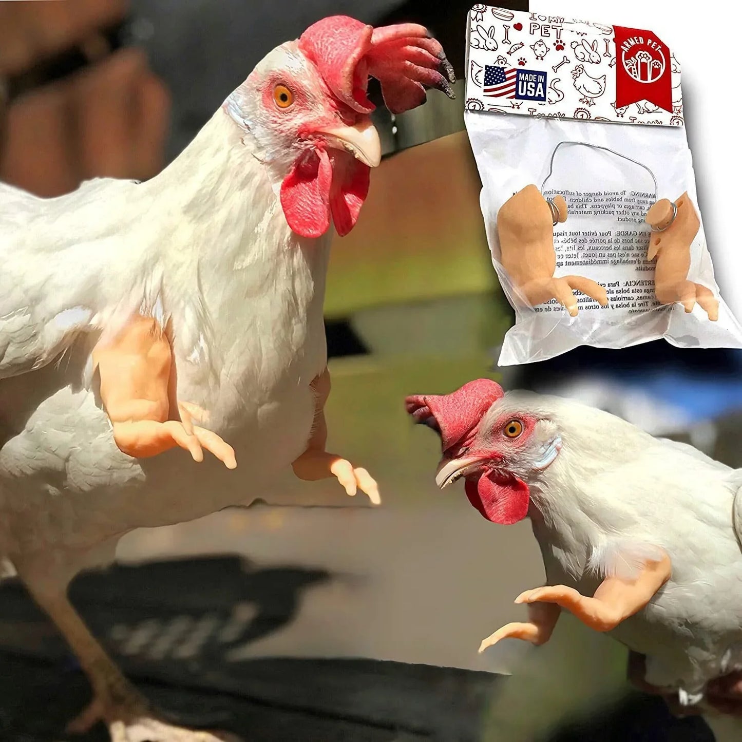 Chicken Arms Costume for Poultry