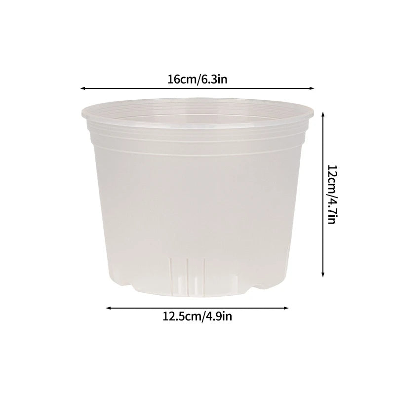 Transparent Nursery Plant Pot